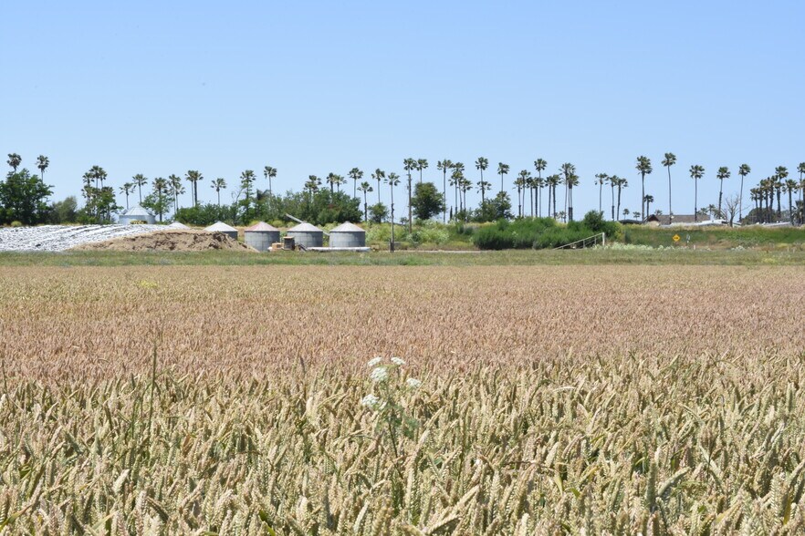 More Photos Of 16637 Tyler Island Rd, Isleton Land For Sale