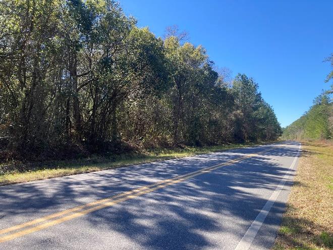 More Photos Of 0 Reid Stafford Road East, Glen Saint Mary Land For Sale