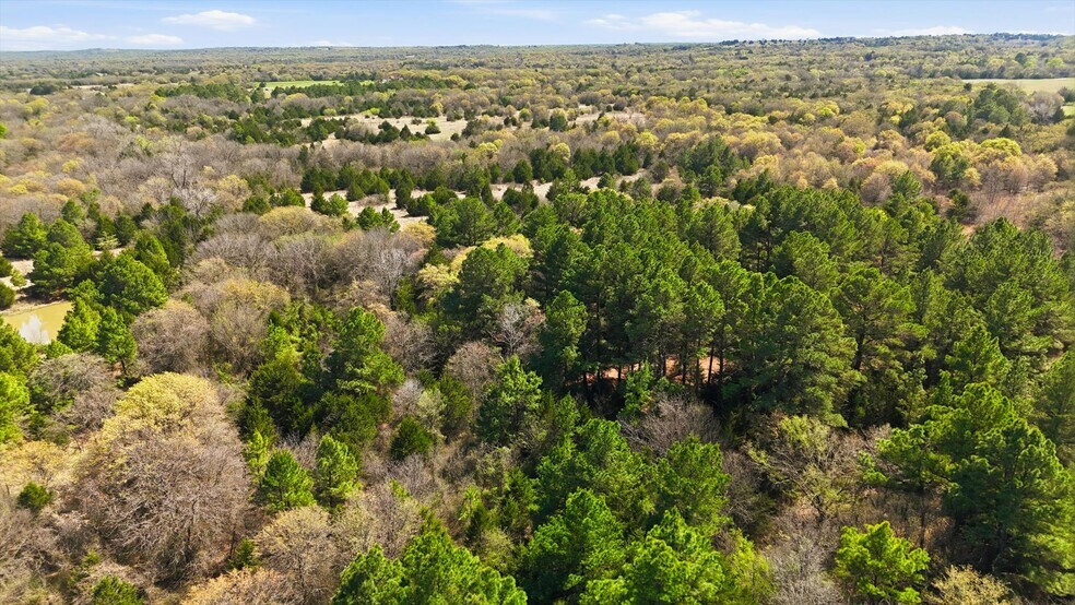 More Photos Of 2548 County Road 2690, Alvord Land For Sale