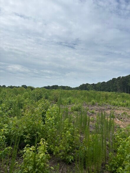 More Photos Of 2723 Mays Crossroads Rd, Youngsville Land For Sale