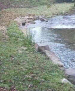 More Photos Of 4259 Pickens Hwy, Rosman Hospitality For Lease