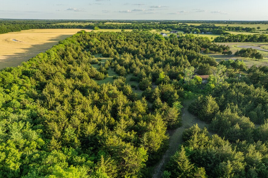 More Photos Of 3150 FM 272, Celeste Land For Sale