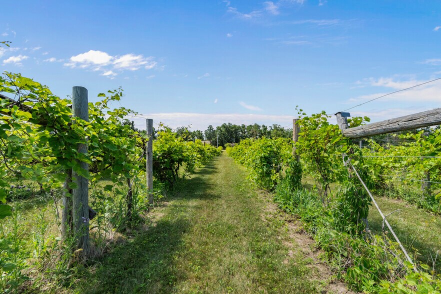 More Photos Of 23729 Oak Lake Trl SE, Erskine Specialty For Sale