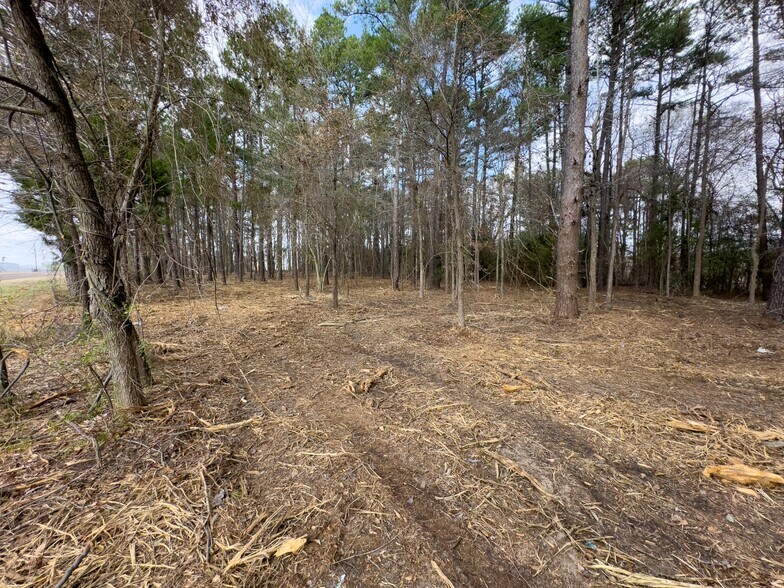 More Photos Of 3363 FM 349, Kilgore Land For Sale