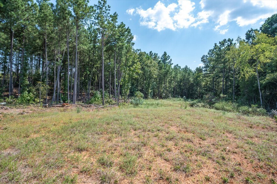 More Photos Of 18021 State Highway 155 S hwy, Flint Land For Sale
