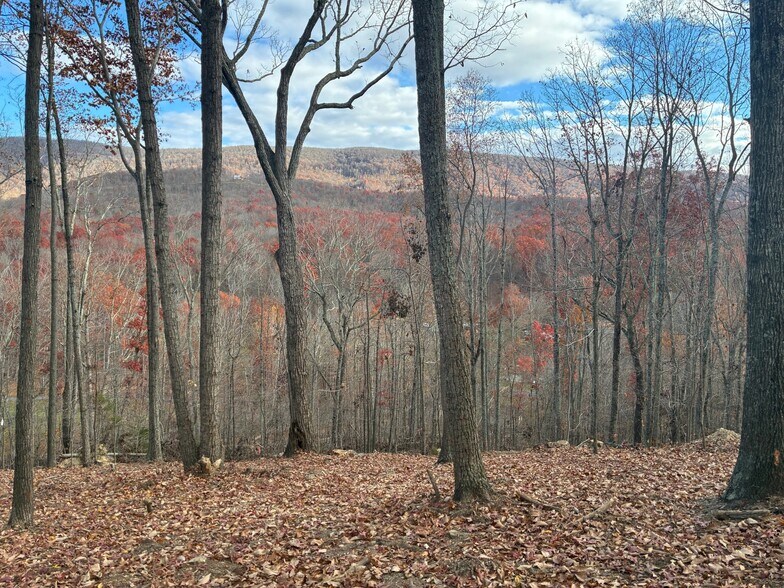 Primary Photo Of 122 Flat Rock Rd, Waynesboro Land For Sale