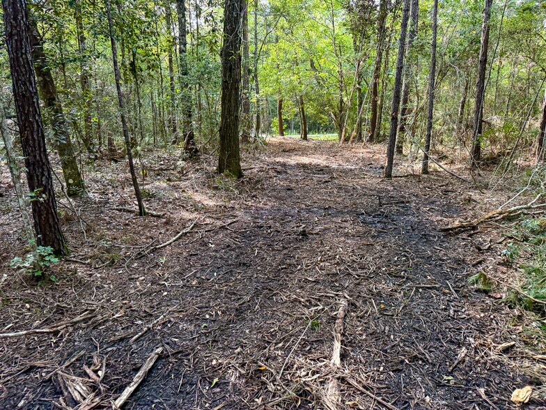 More Photos Of 3.39 Acres, FM 787, Saratoga Land For Sale