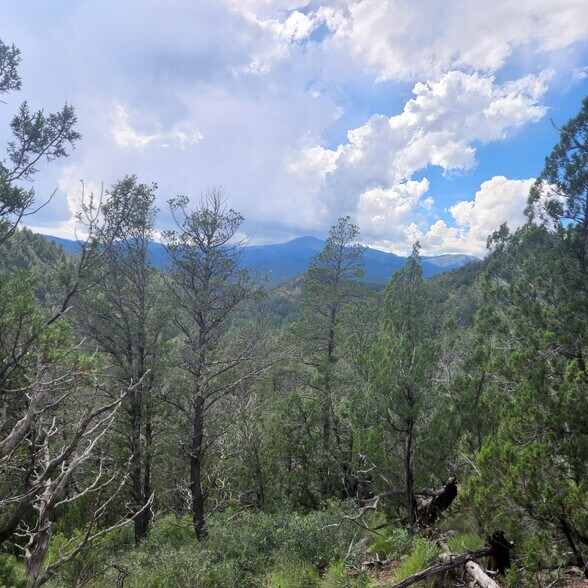 More Photos Of 140 Paradise Canyon Dr, Ruidoso Land For Lease