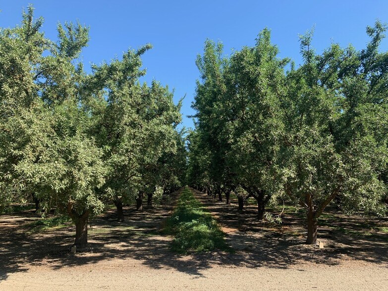 More Photos Of Sec Wildwood Rd & Sherwood Ave, Wasco Land For Sale