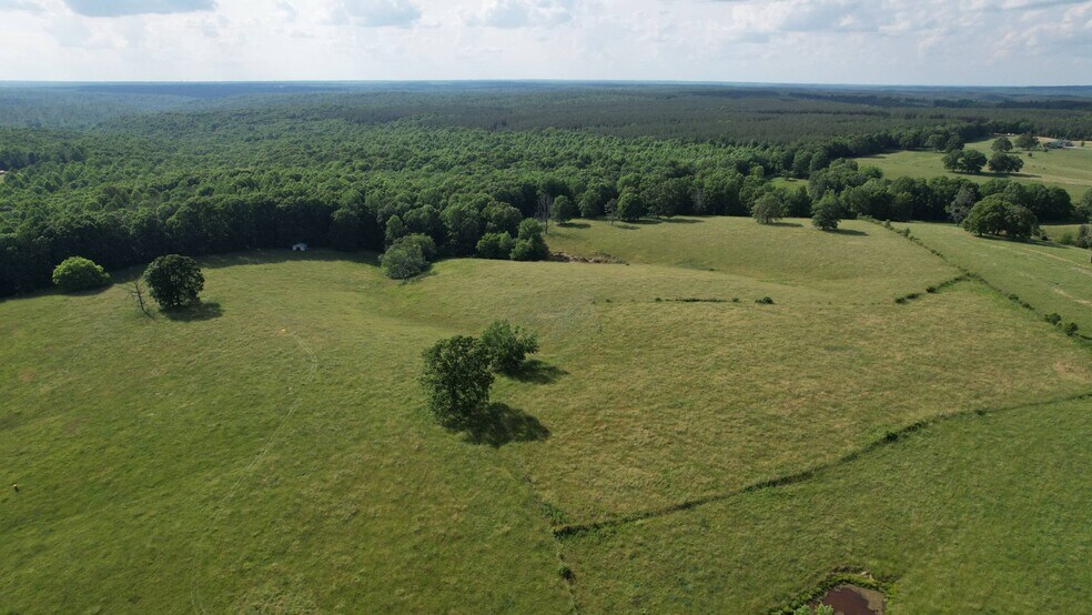 More Photos Of 3555 Summertown Hwy, Summertown General Retail For Sale