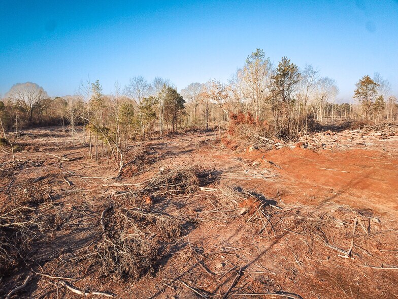 More Photos Of US Highway 45, Saltillo Land For Sale