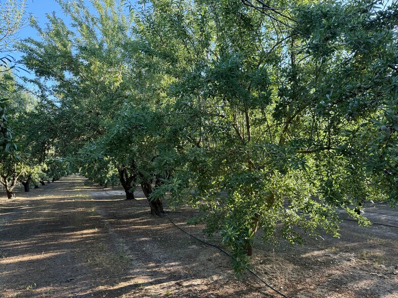 More Photos Of 2700 North Ave ave, Modesto Land For Sale