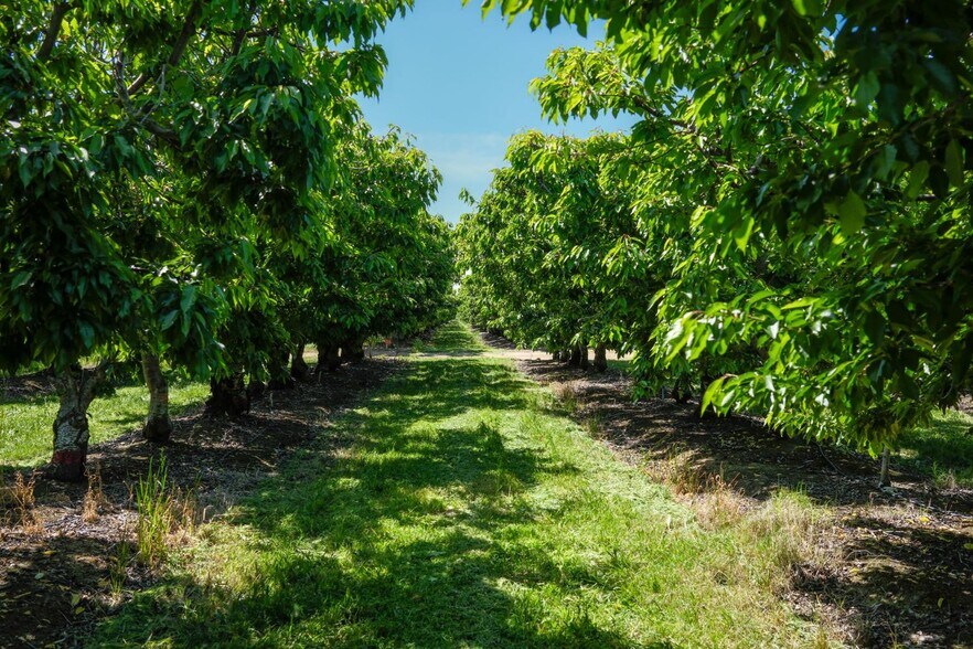 More Photos Of 0 Rock Pile Road, Arvin Land For Sale