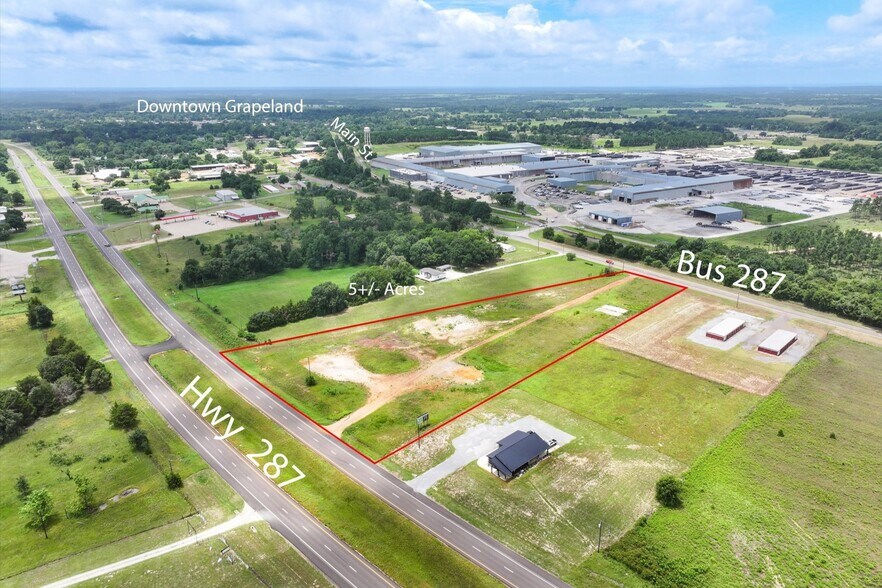 Primary Photo Of 00 US 287, Grapeland Land For Sale