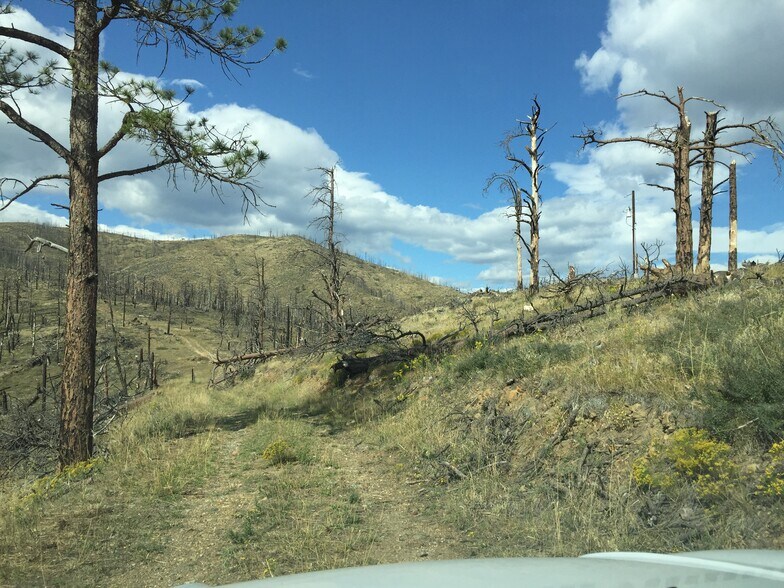 More Photos Of 499 Helms Deep Rd, Bellvue Land For Sale