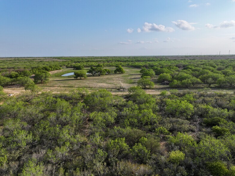 More Photos Of Las Brisas Road, Rio Grande City Land For Sale