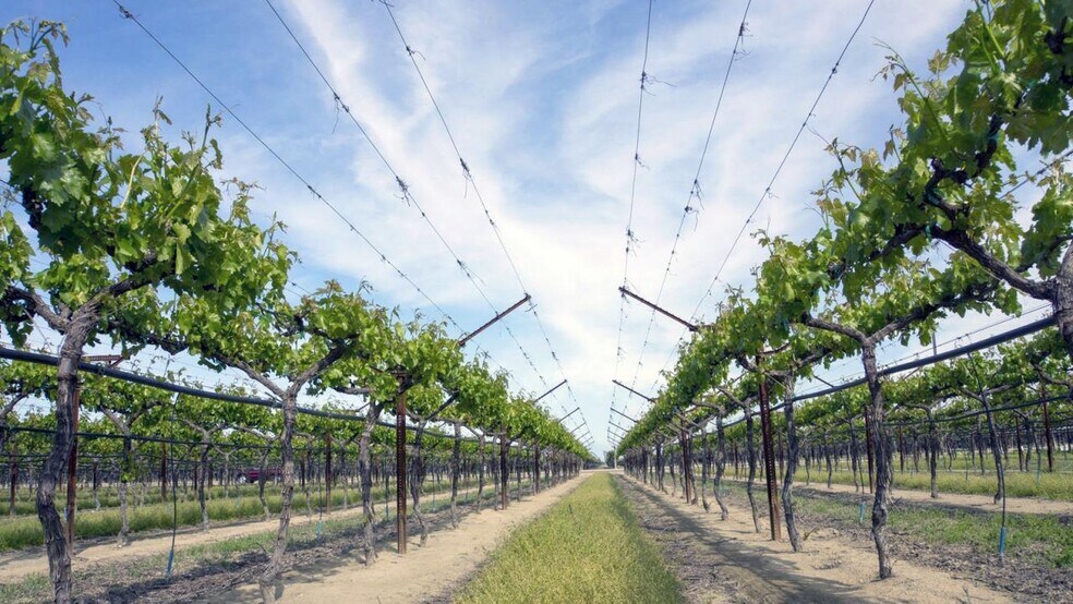 More Photos Of 17371 Line rd, Clayton Winery Vineyard For Sale
