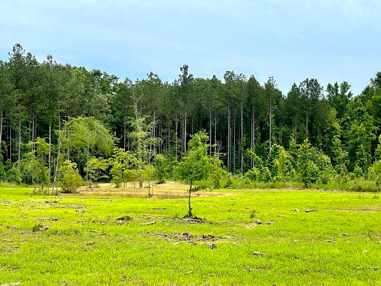More Photos Of 92 Lillian Strong rd, Carlton Land For Sale