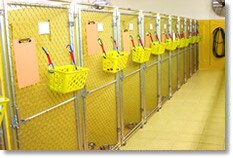 More Photos Of 3910 NW 49th St, Tamarac Veterinarian Kennel For Sale