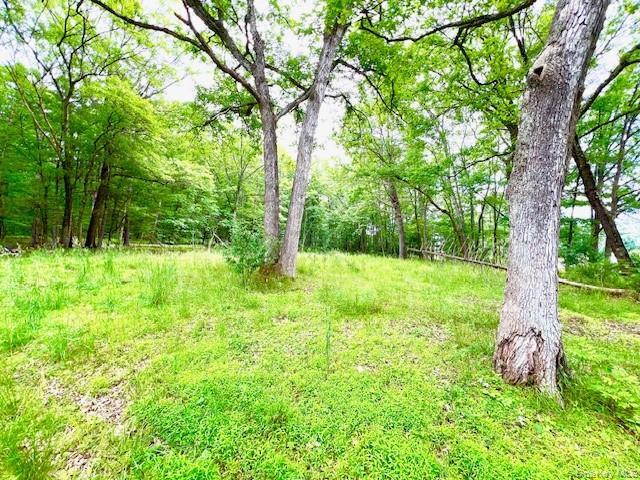 More Photos Of 7584 NY-97, Narrowsburg Land For Sale
