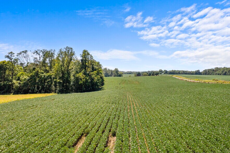 More Photos Of Moore Road @ Forest Lane, Ruckersville Land For Sale