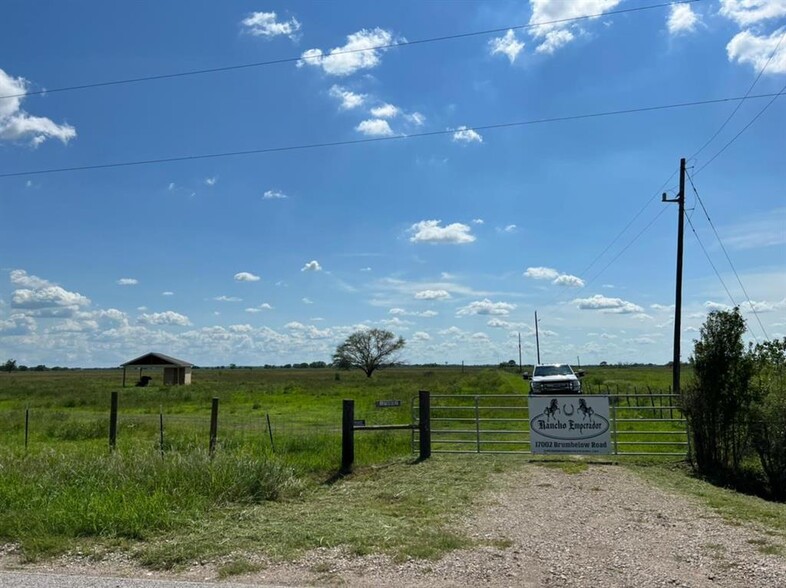 Primary Photo Of 17002 Brumbelow Rd, Needville Land For Sale