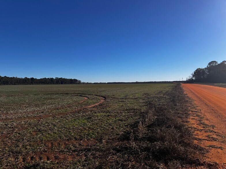 More Photos Of 0 Wiggins Road, Frisco City Land For Sale