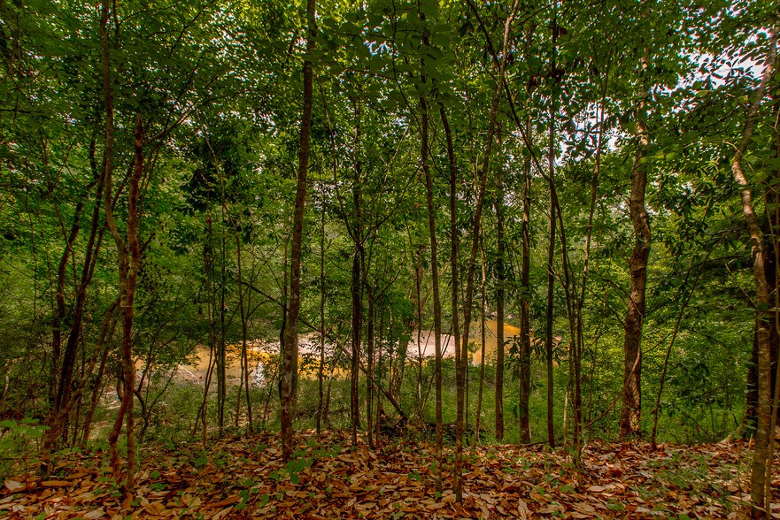 More Photos Of 11030 Garden Ln, Folsom Specialty For Sale