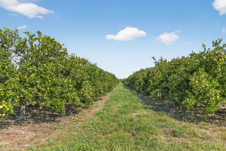 More Photos Of 8476 Ten Mile Grade, Zolfo Springs Land For Sale