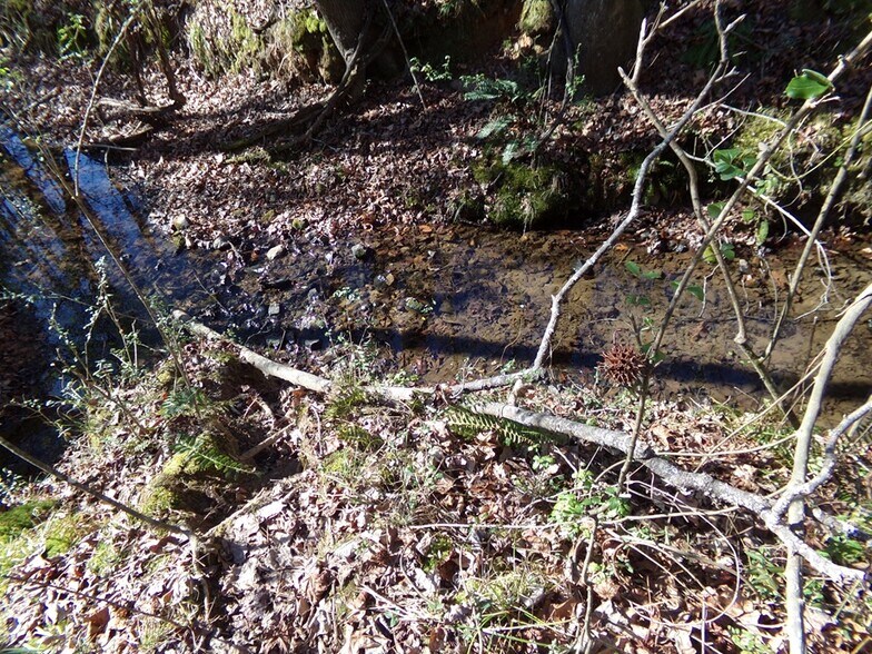 More Photos Of 41 ACRES Hwy 55 Hwy, Clover Land For Sale