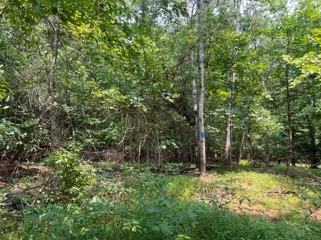 More Photos Of 3590 Twinbrook Dr, Waldorf Land For Sale