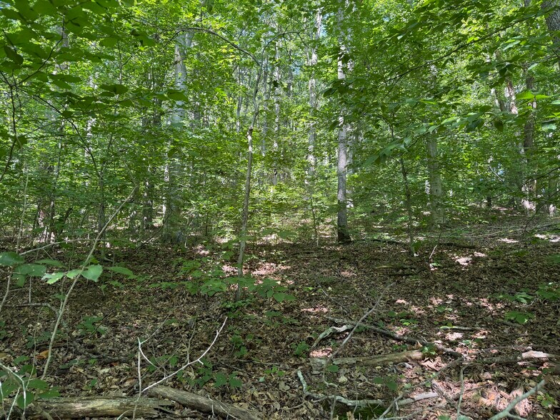 More Photos Of Rainbow Trl, Waverly Land For Sale