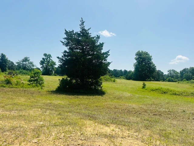 More Photos Of 16963 Interstate 45 N, Willis Land For Sale