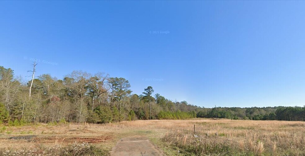 Primary Photo Of TBD US 280 hwy, Americus Land For Sale