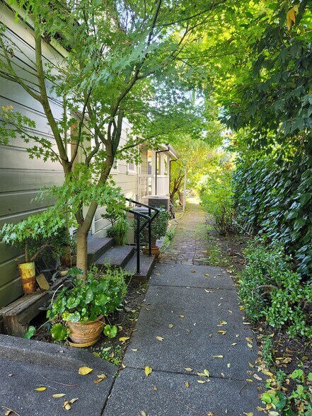 More Photos Of 230 Center St, Healdsburg Office For Lease