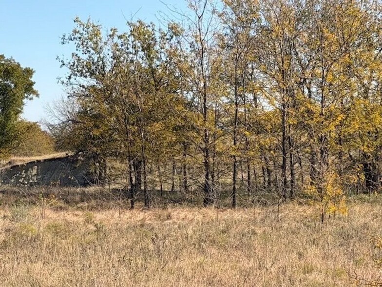 More Photos Of TBD Donald Rd, Krum Land For Sale