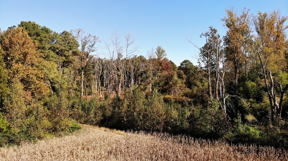 More Photos Of 6800 & 6856 Willson Rd, Richmond Land For Sale