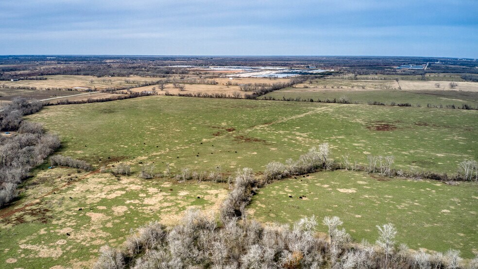 More Photos Of 42919 Addie Gee rd, Hempstead Land For Sale