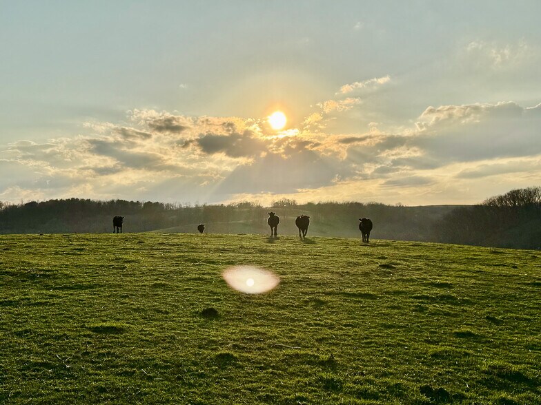 More Photos Of 68895 Lloydsville Bannock Rd, Belmont Land For Sale