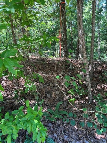 More Photos Of 16 Hawks Branch #123, White Land For Sale