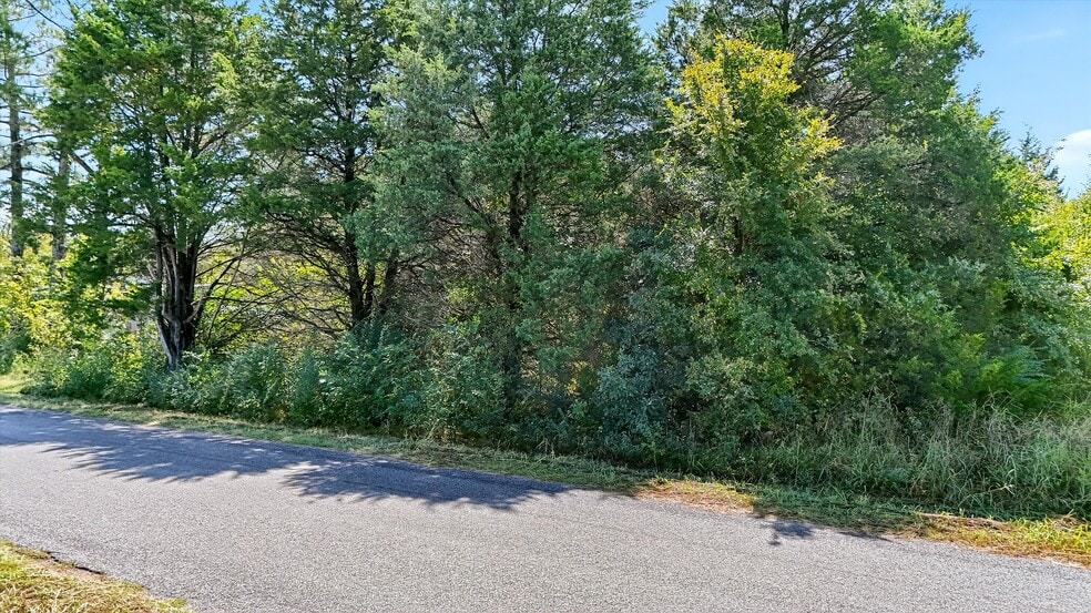 More Photos Of TBD Old Sadler Road, Sadler Land For Sale