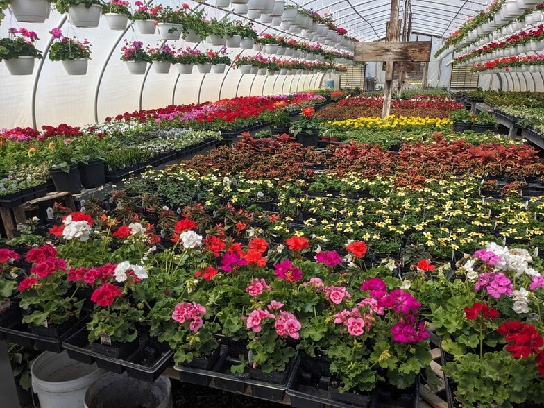 More Photos Of 73 Little York Rd, Warwick Garden Center For Sale