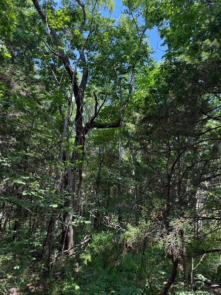 More Photos Of 20765 State Highway 42, Belle Land For Sale