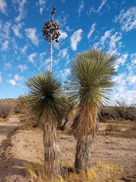More Photos Of SEC Flying E Ranch Rd & US-60, Wickenburg Land For Sale