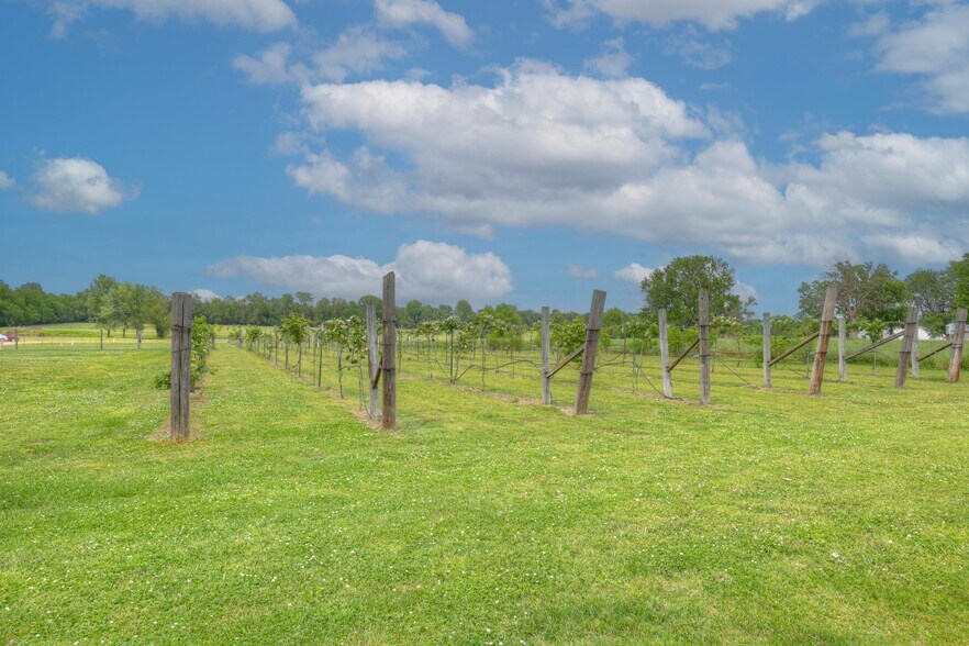 More Photos Of 25695 Mulberry Rd, Webb City Winery Vineyard For Sale