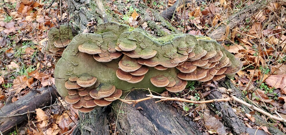 More Photos Of 4775 S 50th St, Aldrich Land For Sale