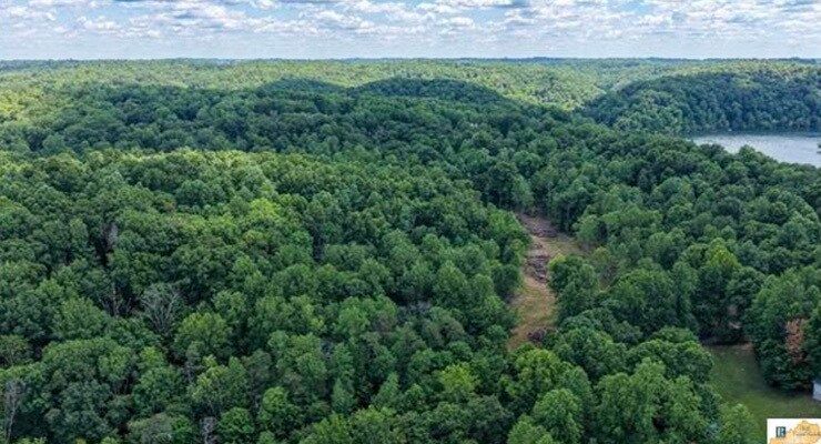 More Photos Of 0 Wilderness Road, Mammoth Cave Land For Sale