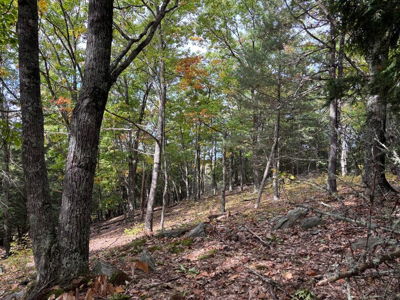 More Photos Of 00 Quarry Rd, Chester Land For Sale