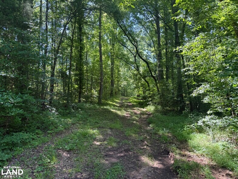 More Photos Of 701 Wingert Road rd, Greenwood Specialty For Sale