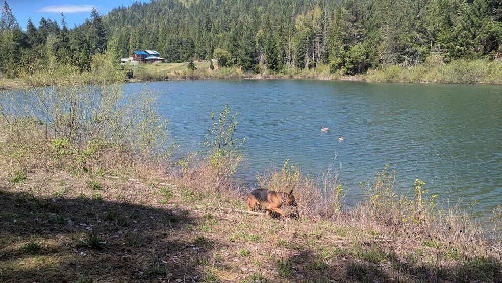 More Photos Of 2999 Speaker Rd, Wolf Creek Land For Sale